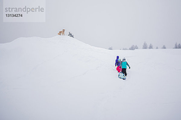 Rückansicht von Mädchen  die Schlitten tragen  während sie auf einem schneebedeckten Feld laufen