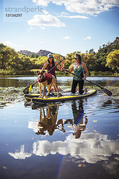 Glückliche Freunde mit Hundepaddeln im See gegen den Himmel