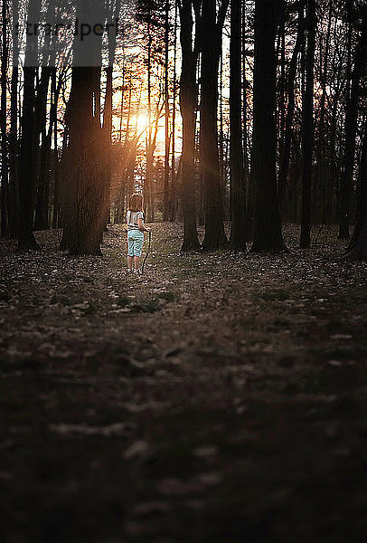 Rückansicht eines Mädchens  das bei Sonnenuntergang im Wald steht