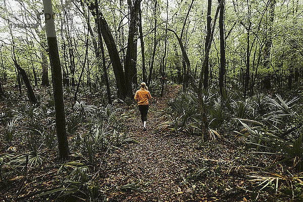 Rückansicht einer jungen Frau  die inmitten von Bäumen im Wald spazieren geht