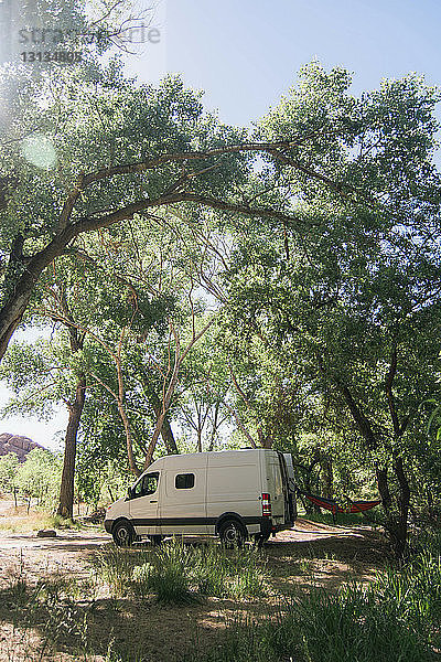 An Bäumen im Wald geparktes Wohnmobil