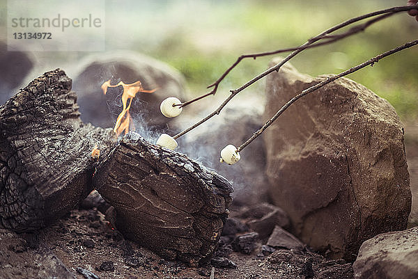 Nahaufnahme von Marshmallows  die am Lagerfeuer im Wald gebraten werden
