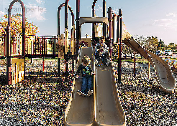 Brüder mit Hund spielen auf der Rutsche auf dem Spielplatz