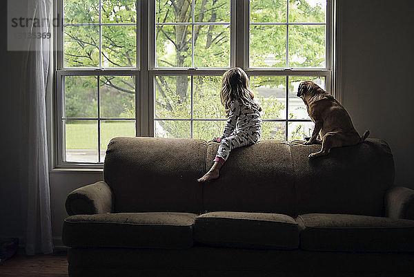 Seitenansicht von Mädchen und Hund  die durch das Fenster schauen  während sie zu Hause auf dem Sofa sitzen