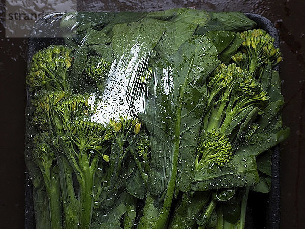 Draufsicht auf nasses Gemüse mit Plastiktüte im Tablett auf dem Tisch