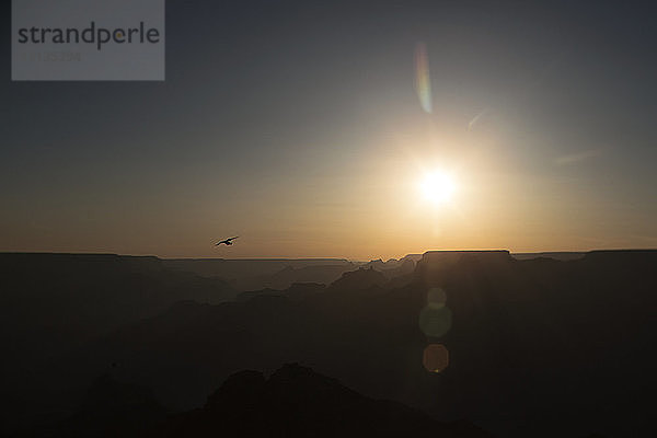 Helle Sonne über der Silhouette des Grand Canyon Nationalparks bei Sonnenuntergang