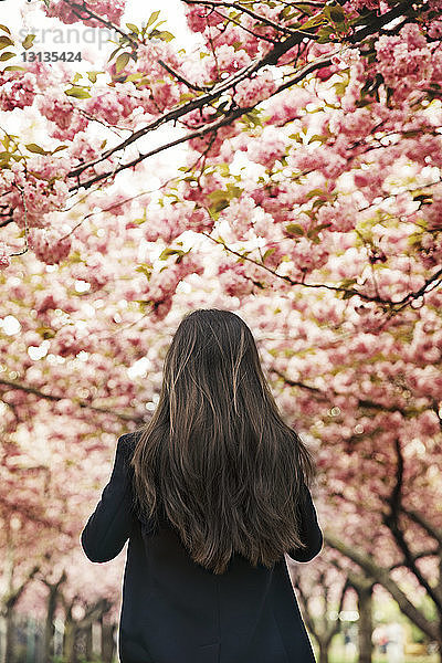 Rückansicht einer Frau  die im Frühling im Park steht