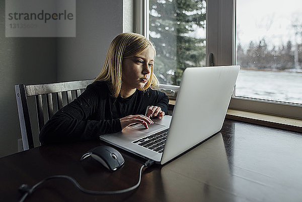 Mädchen benutzt Laptop-Computer  während sie zu Hause am Fenster sitzt