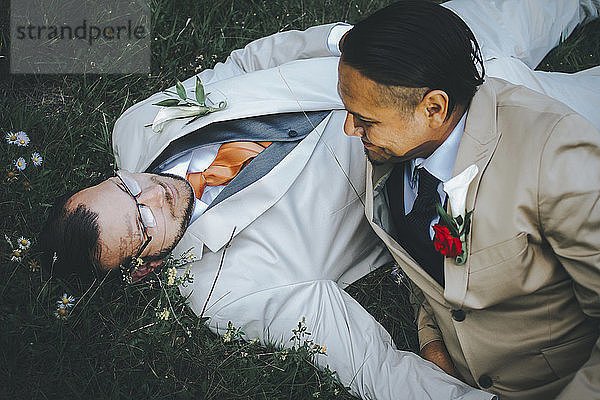 Glückliches homosexuelles Paar entspannt sich auf Grasfeld