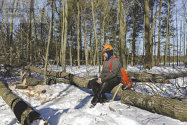 Holzfäller  der im Winter im Wald auf Stämmen sitzt