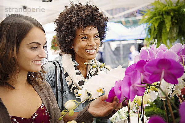 Freunde kaufen Blumen auf dem Markt