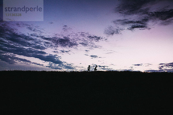 Silhouettengeschwister laufen bei Sonnenuntergang auf dem Feld gegen den Himmel