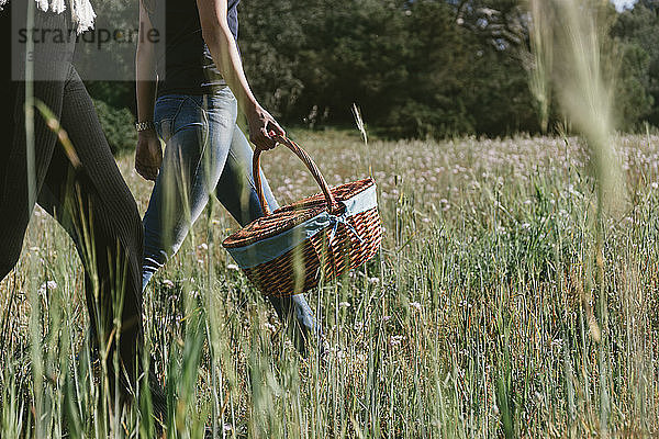 Niedriger Teil einer Frau  die einen Picknickkorb trägt  geht mit einem Freund auf einem Grasfeld