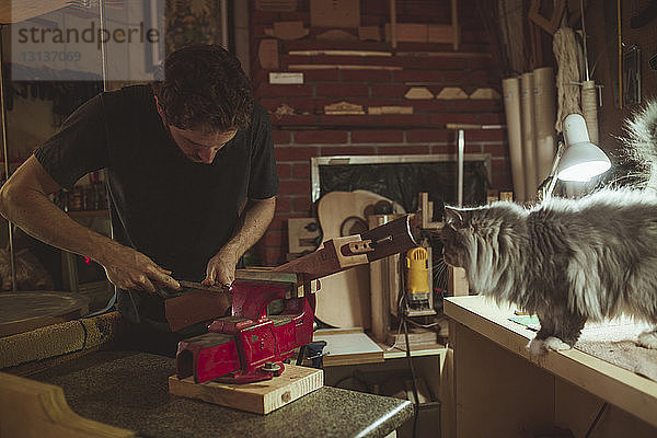 Gitarrenbauer beim Gitarrenbau mit Katze im Workshop