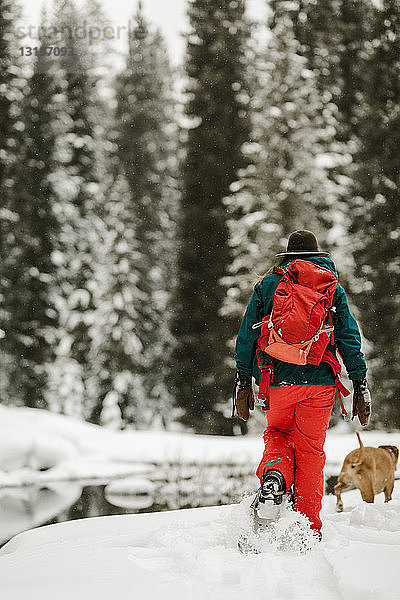 Rückansicht einer Frau mit Hund beim Spaziergang auf einem schneebedeckten Feld im Wald