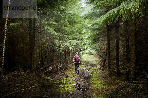 Rückansicht eines männlichen Wanderers  der im Wald wandert