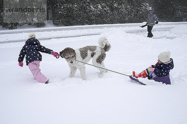 Mädchen mit Hund zieht Schlitten mit der Schwester  während der Vater im Winter Schnee von der Straße räumt