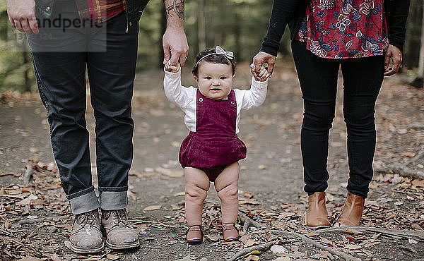 Porträt eines kleinen Mädchens  das die Eltern an den Händen hält  während es auf einem Feld im Wald steht