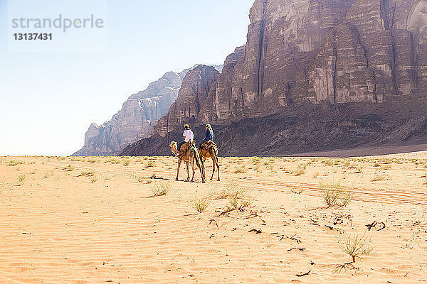 Freunde reiten auf Kamelen in der Wüste bei klarem Himmel