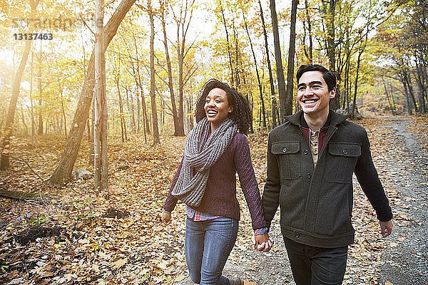 Glückliches Paar hält sich beim Waldspaziergang an den Händen