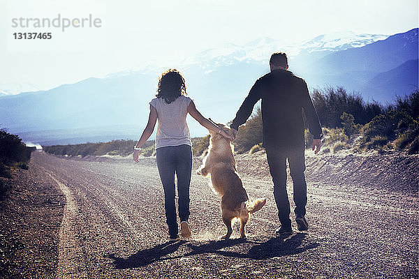 Rückansicht von Mann und Frau mit verspieltem Hund auf einem Feldweg