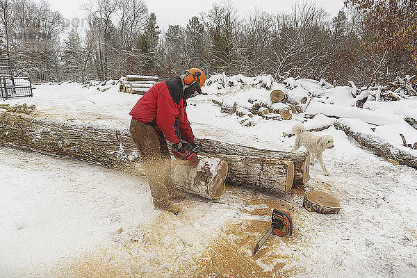 Holzfäller beim Holzfällen  während er im Winter im Wald beim Pudel steht