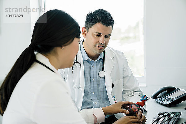 Ärzte betrachten anatomisches Herzmodell bei der Arbeit im Krankenhaus