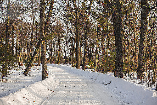 Schneebedeckte Straße inmitten von Bäumen im Wald