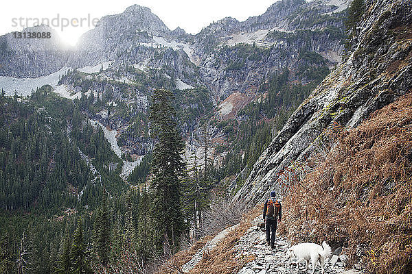 Rückansicht von Wanderer und Hund beim Bergwandern