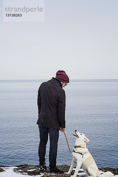 Rückansicht eines Mannes mit Hund  der im Winter am Meeresufer steht