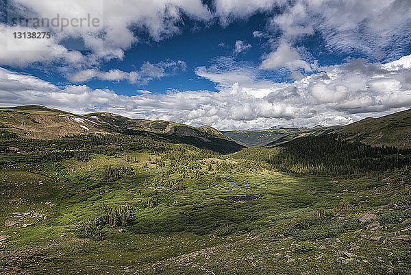 Landschaftsbild einer grünen Landschaft vor bewölktem Himmel