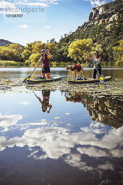 Glückliche Freunde mit Hundepaddeln auf einem See am Berg