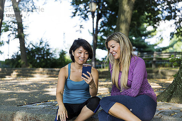 Freunde schauen auf Smartphone  während sie auf einer Stützmauer im Park sitzen