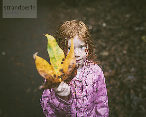 Hochwinkelporträt eines niedlichen Mädchens mit Herbstblatt im Park