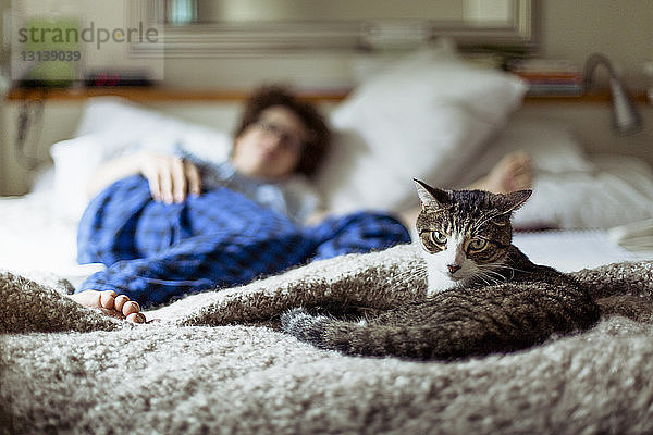 Porträt einer Katze  die sich entspannt  während im Hintergrund eine Frau auf dem Bett liegt