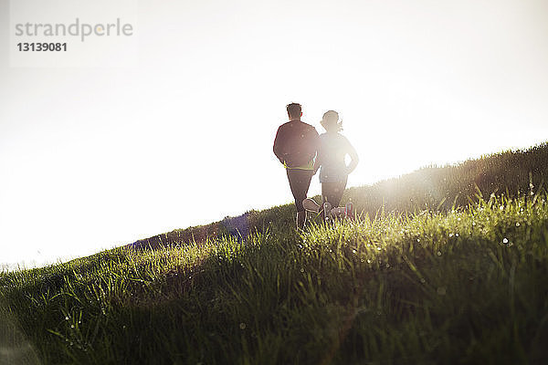 Rückansicht von Freunden  die bei Sonnenuntergang auf einem Grasfeld laufen