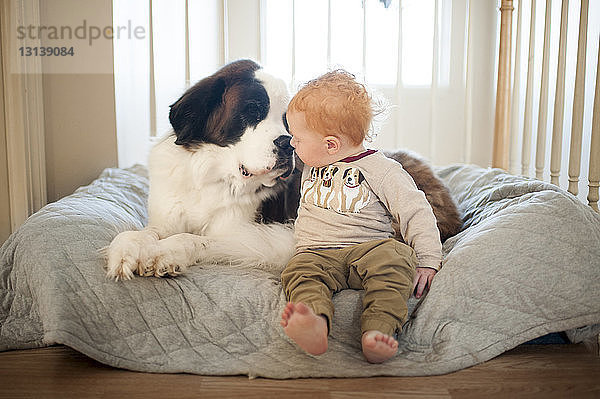Kleiner Junge spielt mit Hund  während er zu Hause auf einer Decke sitzt