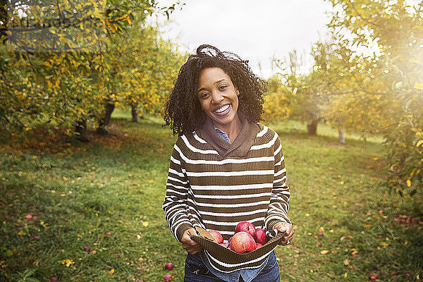 Porträt einer Frau  die im Obstgarten stehend Äpfel trägt