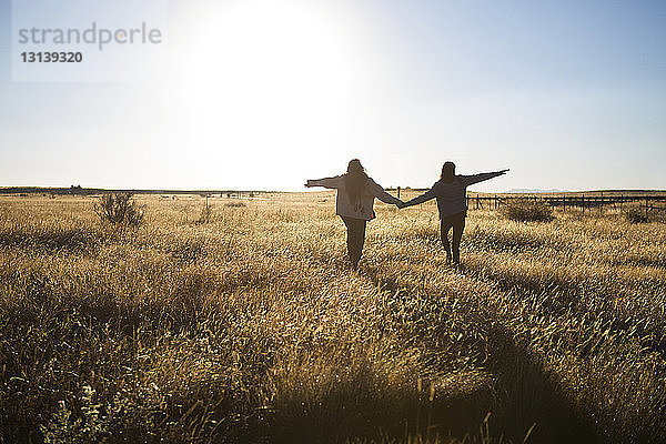 Rückansicht von Freunden  die sich beim Spaziergang auf einem Grasfeld an den Händen halten