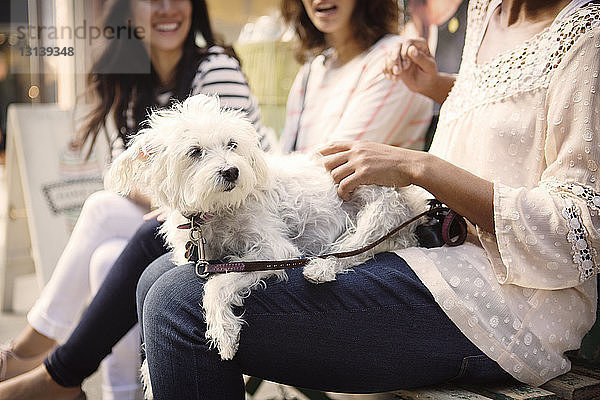 Frau mit Hund auf dem Schoß  während sie mit Freunden im Straßencafé sitzt