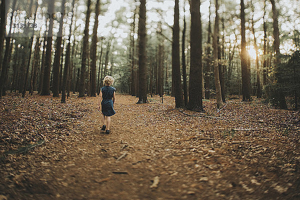 Rückansicht eines Mädchens  das auf einem Feld inmitten von Bäumen im Wald geht