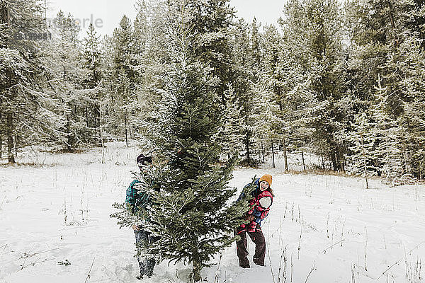 Eltern mit Tochter stehen im Winter an einer Kiefer im Wald