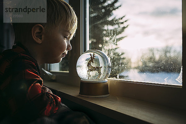 Seitenansicht eines Jungen  der sich zu Hause die Dekoration auf dem Fensterbrett anschaut