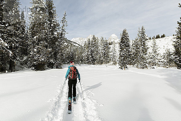 Rückansicht einer Frau mit Himmel  die auf einem schneebedeckten Feld gegen den Himmel im Wald läuft