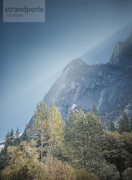 Tiefwinkel-Szenenansicht von Wald und Bergen gegen den Himmel im Yosemite National Park