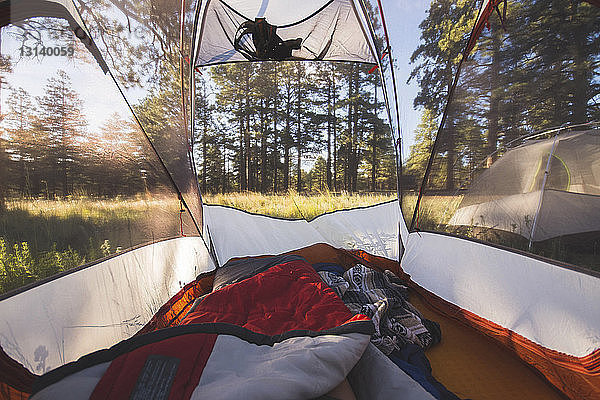 Decken im Zelt gegen Bäume im Wald