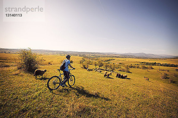 Seitenansicht eines Mannes auf einem Fahrrad im Feld vor klarem Himmel