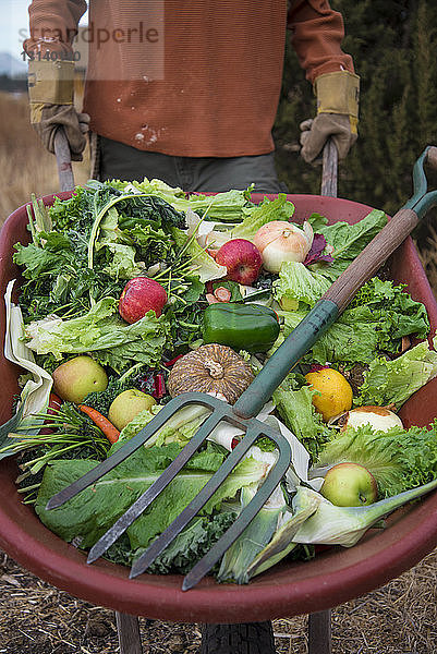 Mann in der Mitte trägt Obst und Gemüse in einer Schubkarre
