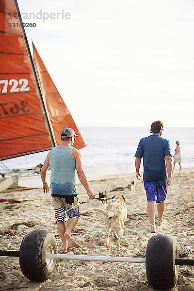 Rückansicht eines Mannes  der Räder zieht  während er mit Vater und Labrador Retriever am Strand spazieren geht