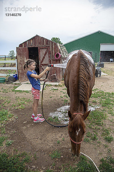 Seitenansicht eines Mädchens  das in einer Scheune vor bewölktem Himmel Wasser auf ein Pferd spritzt